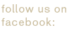 follow us on facebook